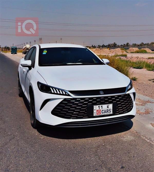بي واي دي Qin Plus 2025 للبيع في العراق -  بغداد